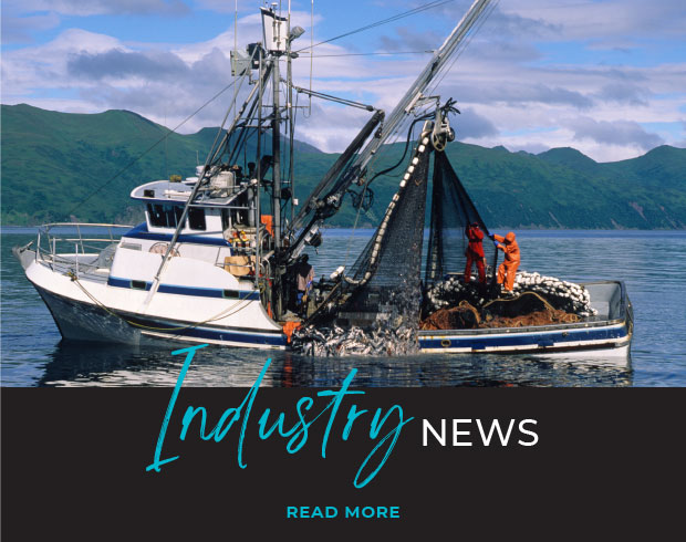 Industry News - Fish4Africa | Anything Fresher Is Still Swimming